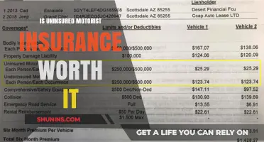 Uninsured Motorist Insurance: Necessary Protection or Unnecessary Cost?