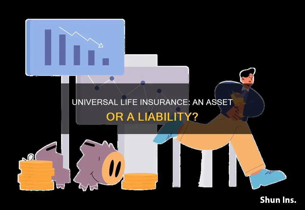 is universal life insurance an asset