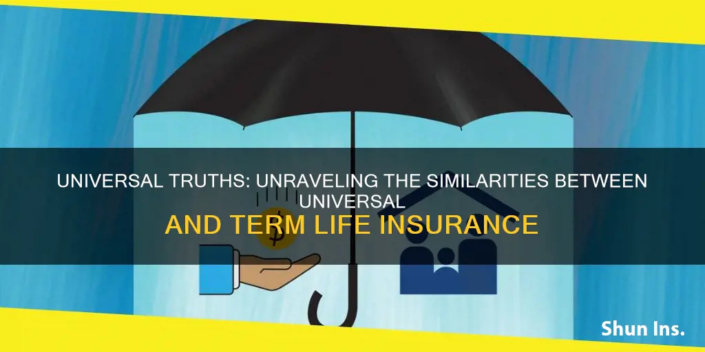 is universal like term insurance