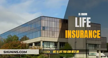 Unum Life Insurance: What You Need to Know