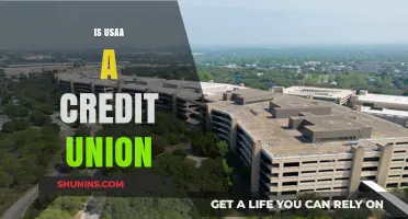 Is USAA a Credit Union? Understanding Its Financial Structure