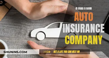 U.S.AA: Auto Insurance Worth It?