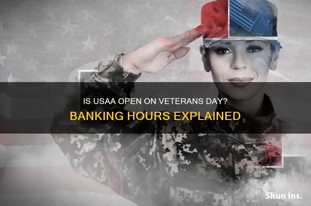 is usaa closed on veterans day