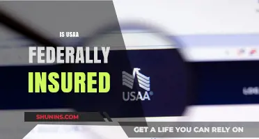 U.S.A.A. Insurance: Is It Federally Backed?