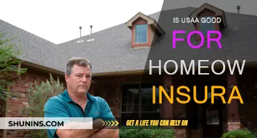 Usaa Home Insurance: Is it Worth the Hype?