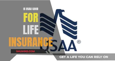 U.S.AA. Life Insurance: Is It a Good Option?