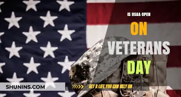 U.S. Veterans Day: Is USAA Open or Closed?