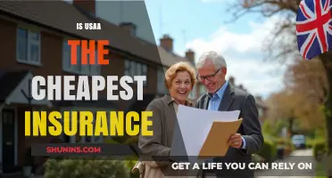 Is USAA the Cheapest Insurance Option for You?