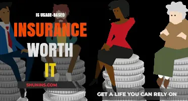 Usage-Based Insurance: Worth the Cost?