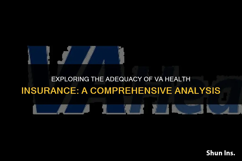 is va health insurance enough