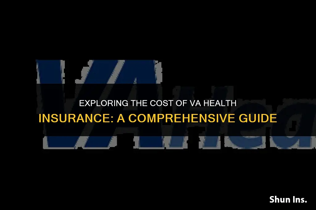 is va health insurance expensive
