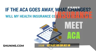 Does VA Health Insurance Meet ACA Standards?