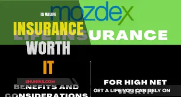 Valife Insurance: Worth the Cost?