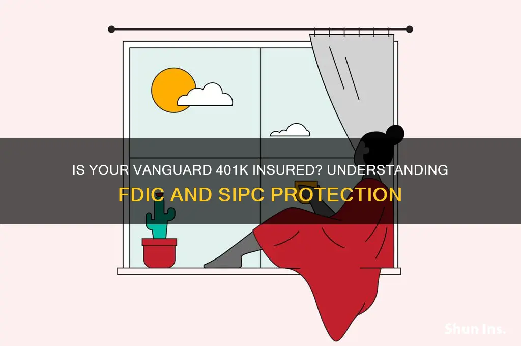 is vanguard 401k insured
