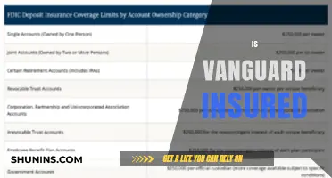 Is Vanguard Insured? Understanding SIPC Protection for Your Investments