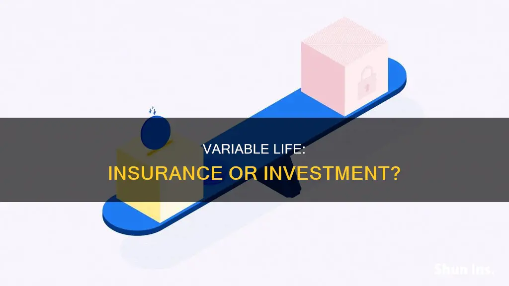 is variable life a investment or insurance