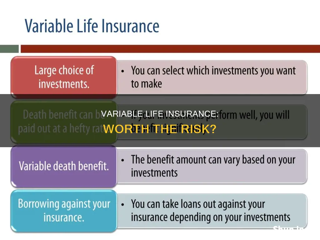 is variable life insurance a good idea