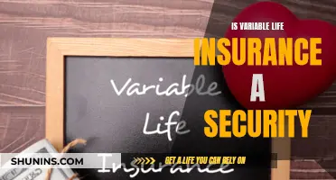 Variable Life Insurance: Security or Risk?