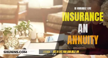 Variable Life Insurance: Annuity or Not?