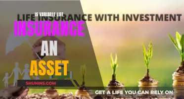 Variable Life Insurance: An Asset or a Liability?