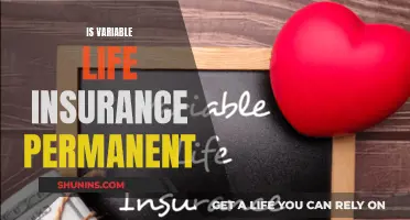 Variable Life Insurance: Permanent or Temporary Solution?