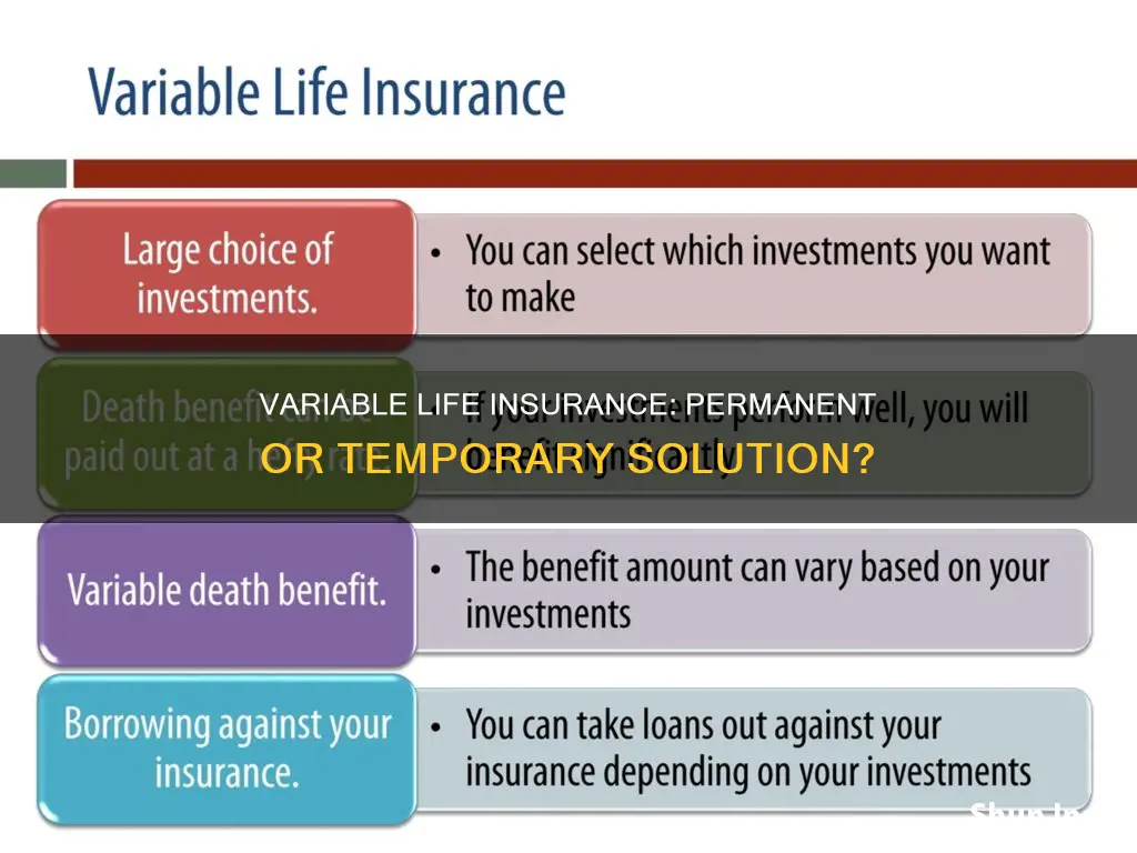 is variable life insurance permanent