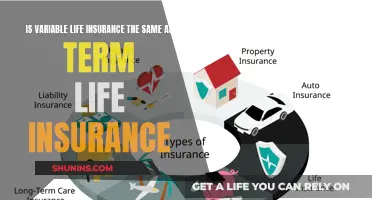 Variable vs Term Life Insurance: What's the Difference?