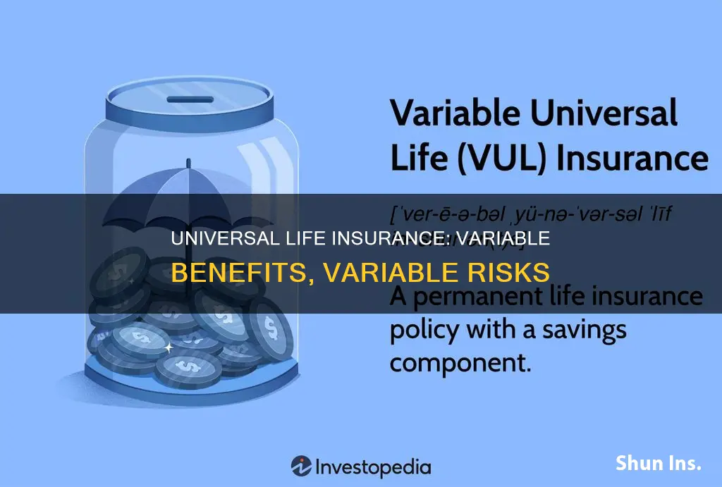 is variable universal life insurance