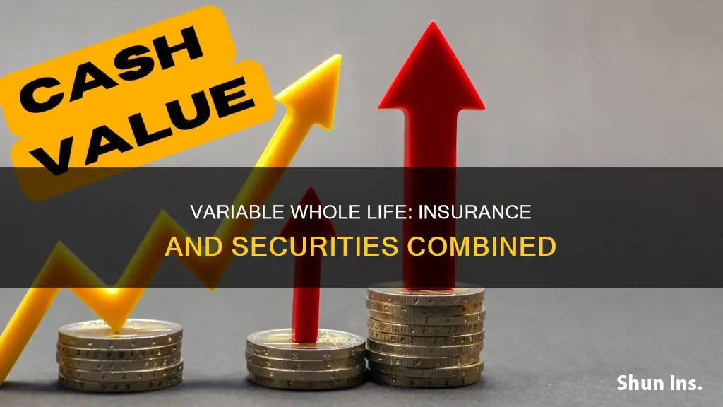 is variable whole life an insurance and securities product