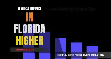 Florida's Auto Insurance: Why Higher?