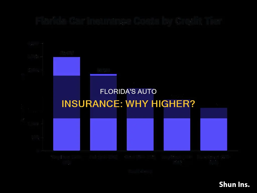 is vehicle insurance in Florida higher