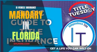 Florida: Vehicle Insurance, Mandatory or Not?