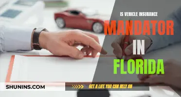 Florida: Vehicle Insurance, Mandatory or Not?