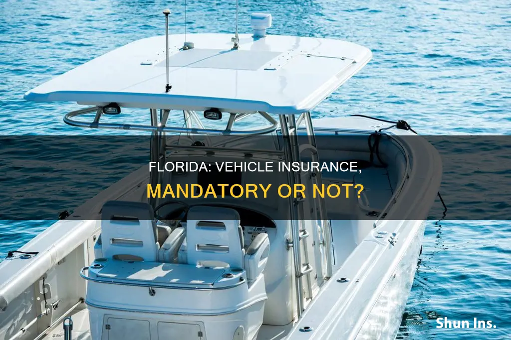 is vehicle insurance mandatory in Florida