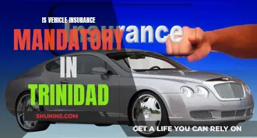 Vehicle Insurance: Trinidad's Mandatory Coverage