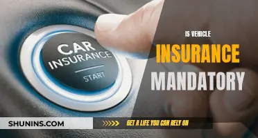 Vehicle Insurance: A Necessary Evil?