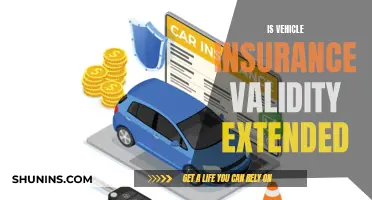 Vehicle Insurance: Extended Validity or Not?