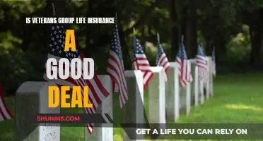 Veterans Group Life Insurance: Is It Worth It?