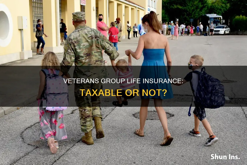 is veterans group life insurance taxable