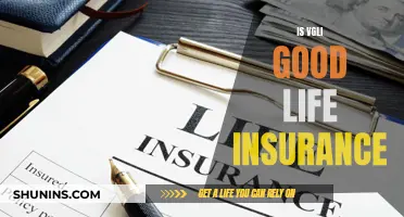 VGLI Life Insurance: Is It a Good Option?