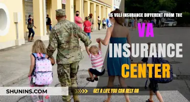 VGLI vs VA Insurance Center: What's the Difference?