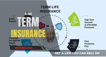 Understanding VGIL Term Insurance: A Comprehensive Guide to its Benefits and Features