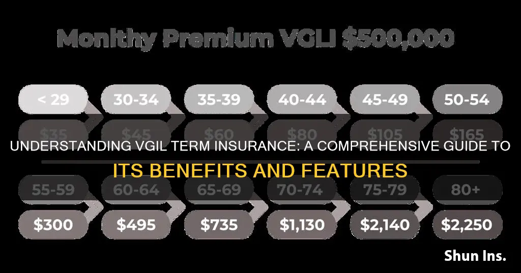 is vgli term insurance