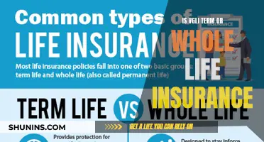 Understanding VGLI: Term or Whole Life Insurance Options