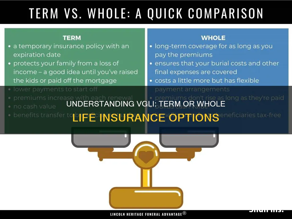 is vgli term or whole life insurance