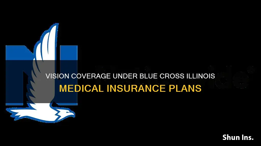 is vision included in medical insurance blue cross illinois
