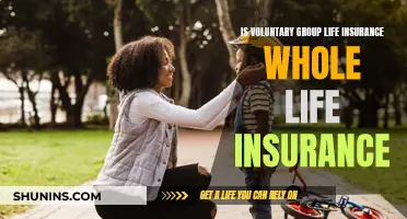 Voluntary Group Life Insurance: Whole Life or Term?