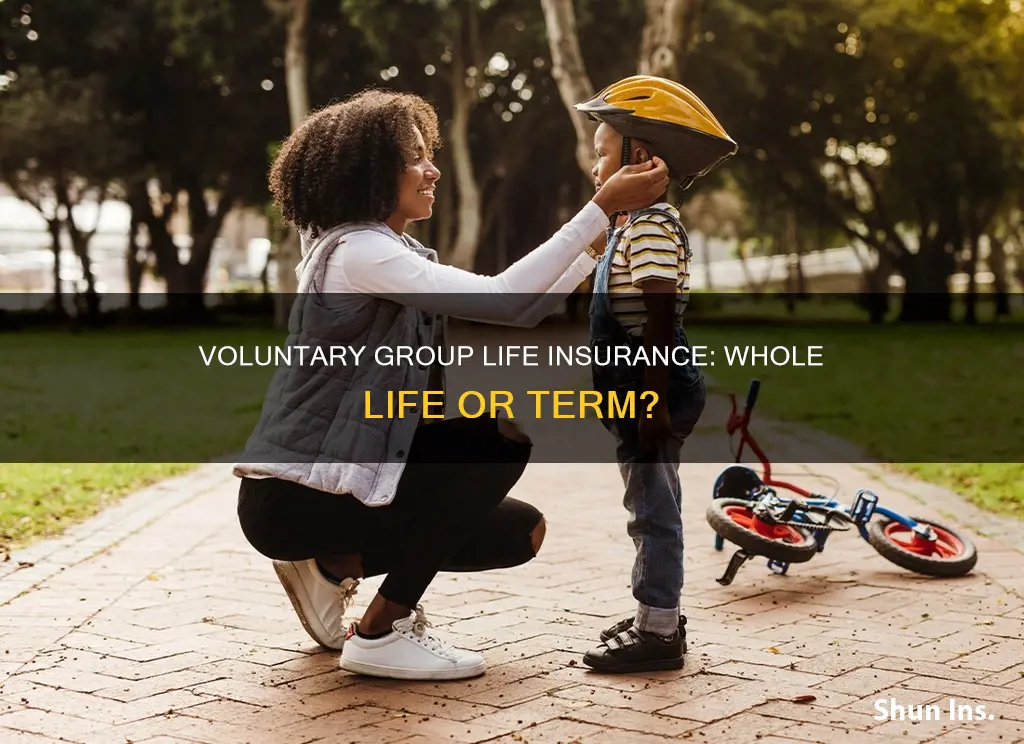 is voluntary group life insurance whole life insurance