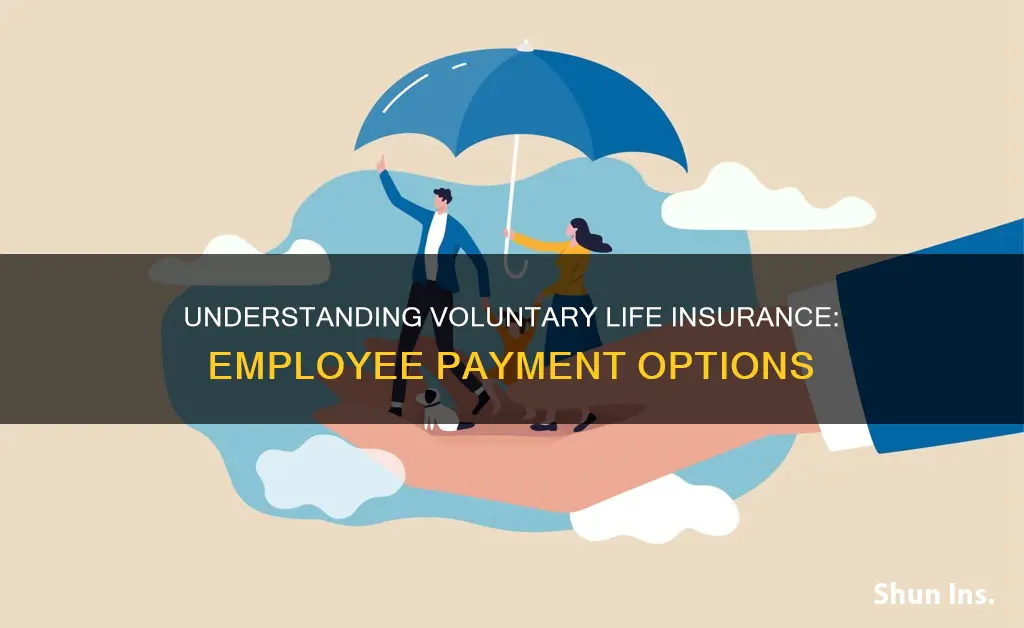 is voluntary life insurance added to employee paid