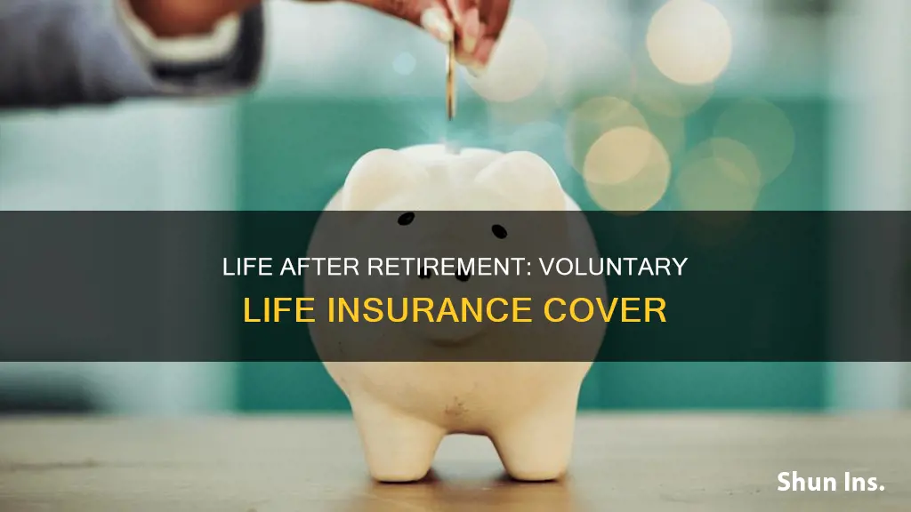 is voluntary life insurance cover after retirement